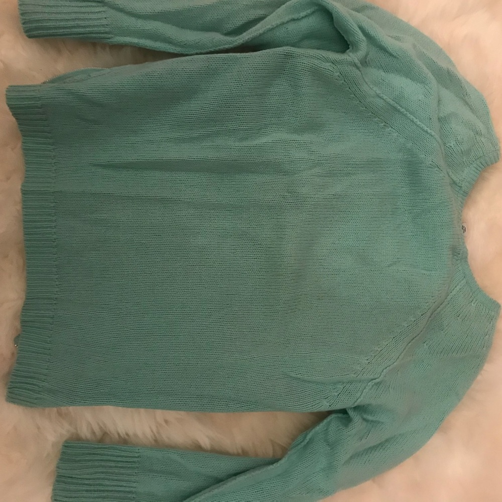 Autumn Cashmere Mint ZIP sweater
